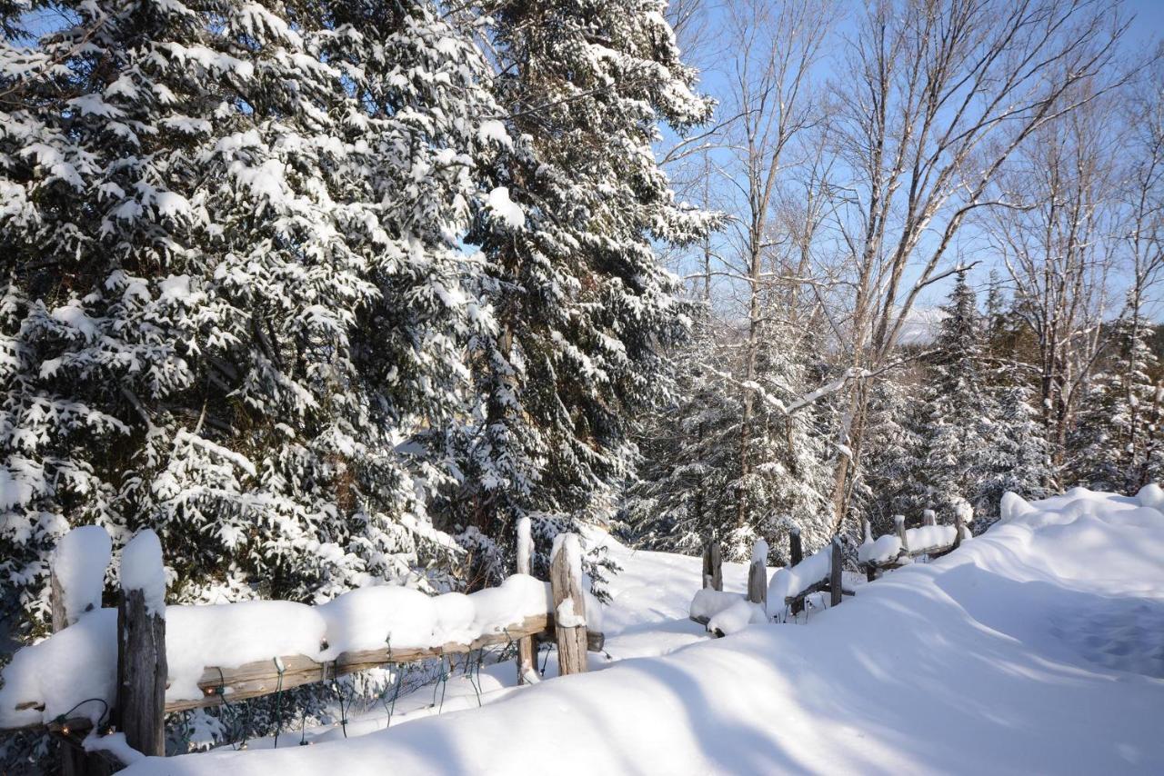 Jardin Du Village By Chez Tremblant Mont-Tremblant Kültér fotó