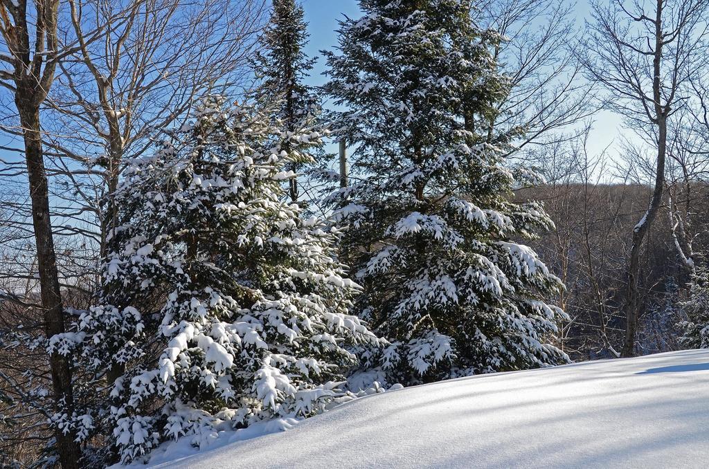 Jardin Du Village By Chez Tremblant Mont-Tremblant Szoba fotó